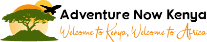logo-image