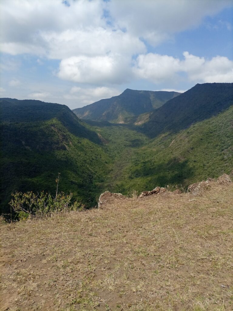 Suswa