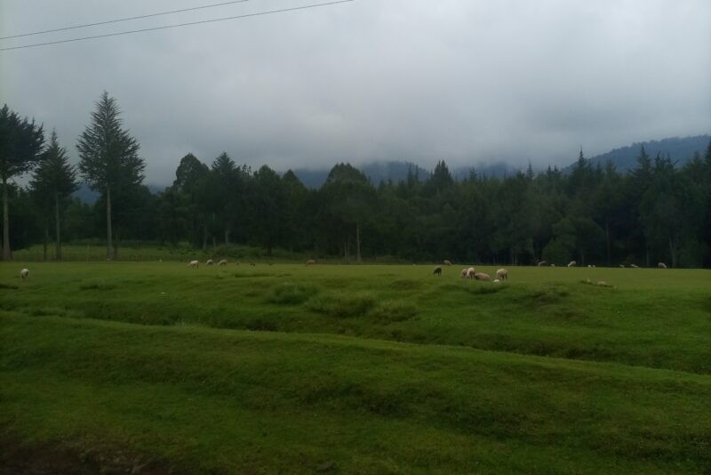 Aberdares