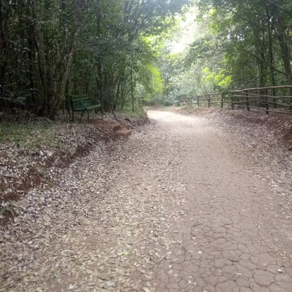 Karura