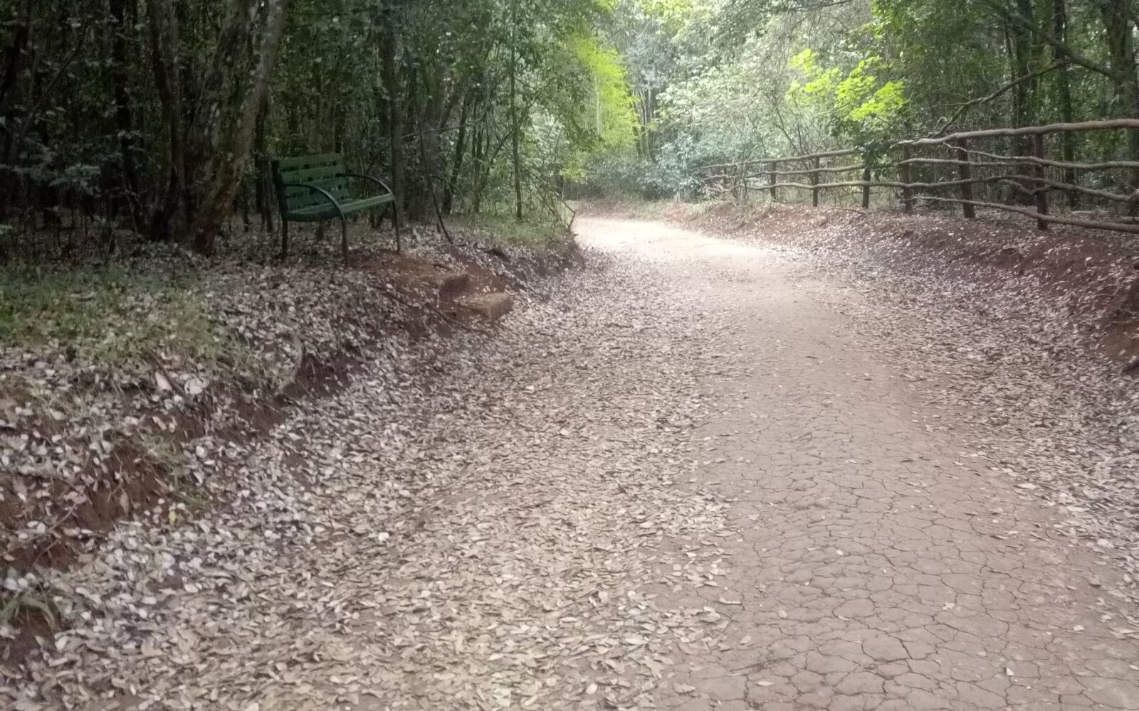Karura
