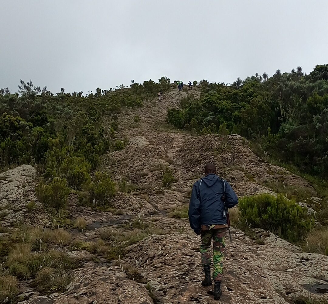 Kipipiri Hills Aberdares