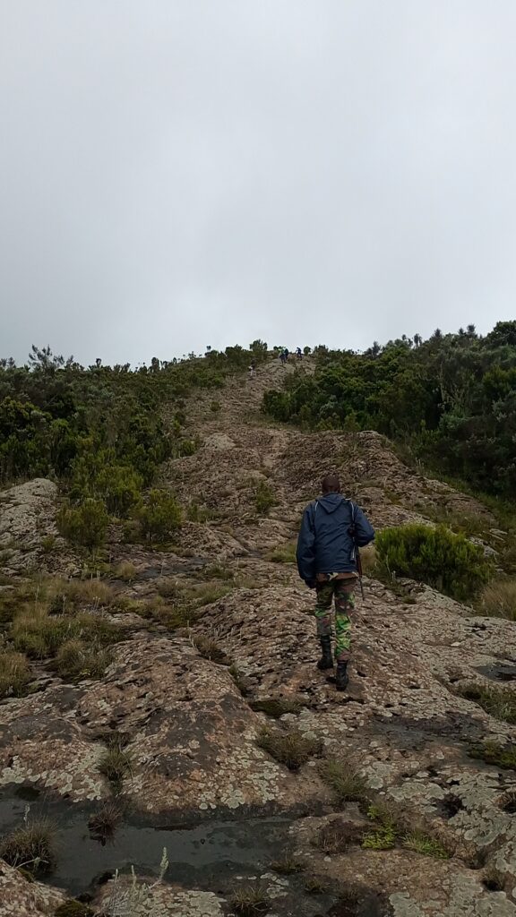 Kipipiri Hills Aberdares